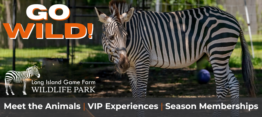 Long Island Game Farm